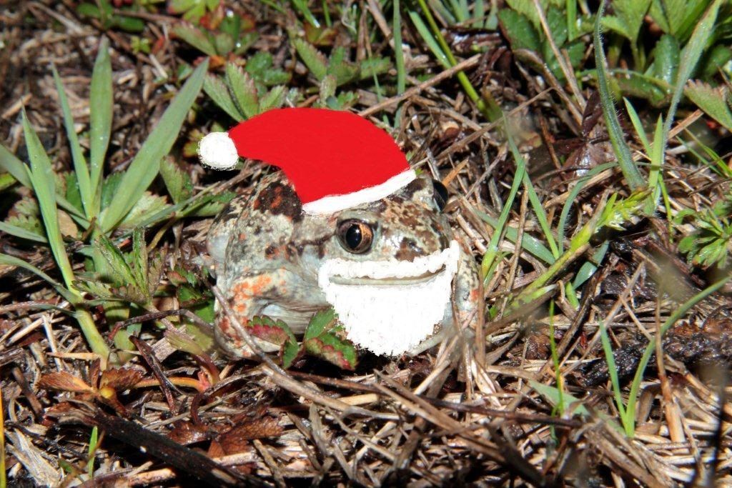 Auguri agli amici dei laghetti